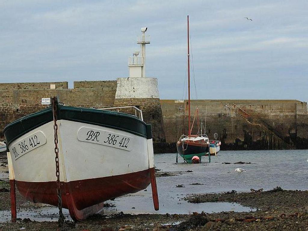 129 ILE DE MOLENE_000012.jpg